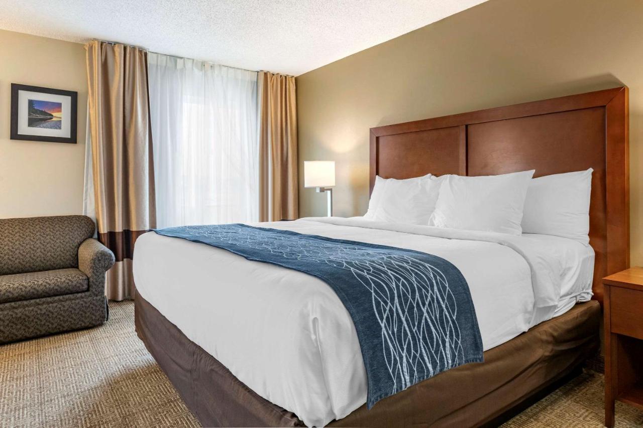 Comfort Inn & Suites Dimondale - Lansing Ngoại thất bức ảnh