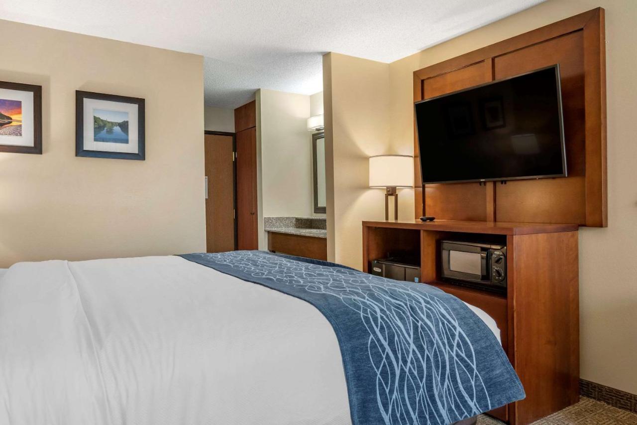 Comfort Inn & Suites Dimondale - Lansing Ngoại thất bức ảnh