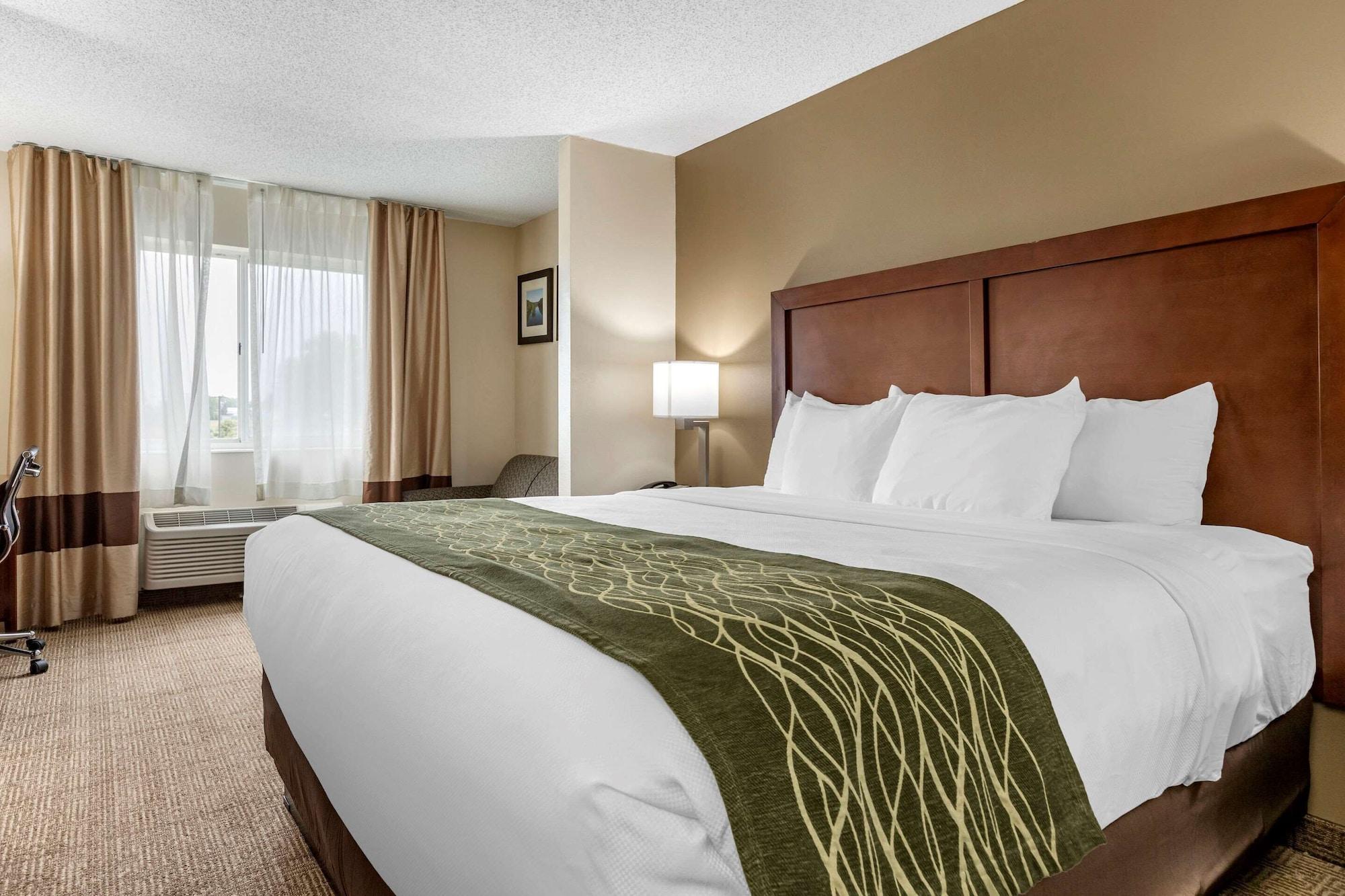 Comfort Inn & Suites Dimondale - Lansing Ngoại thất bức ảnh