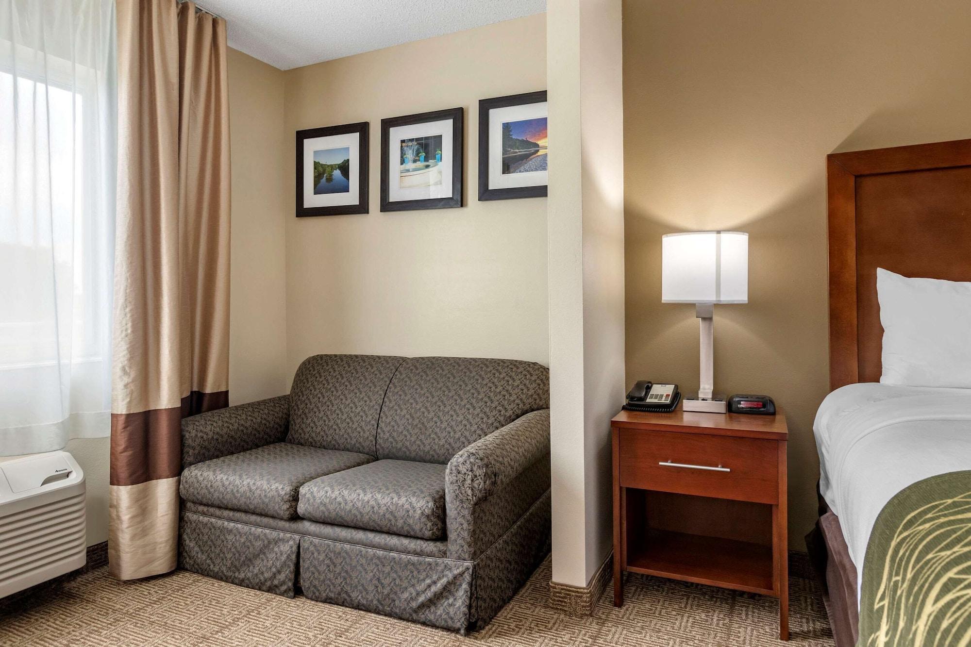 Comfort Inn & Suites Dimondale - Lansing Ngoại thất bức ảnh