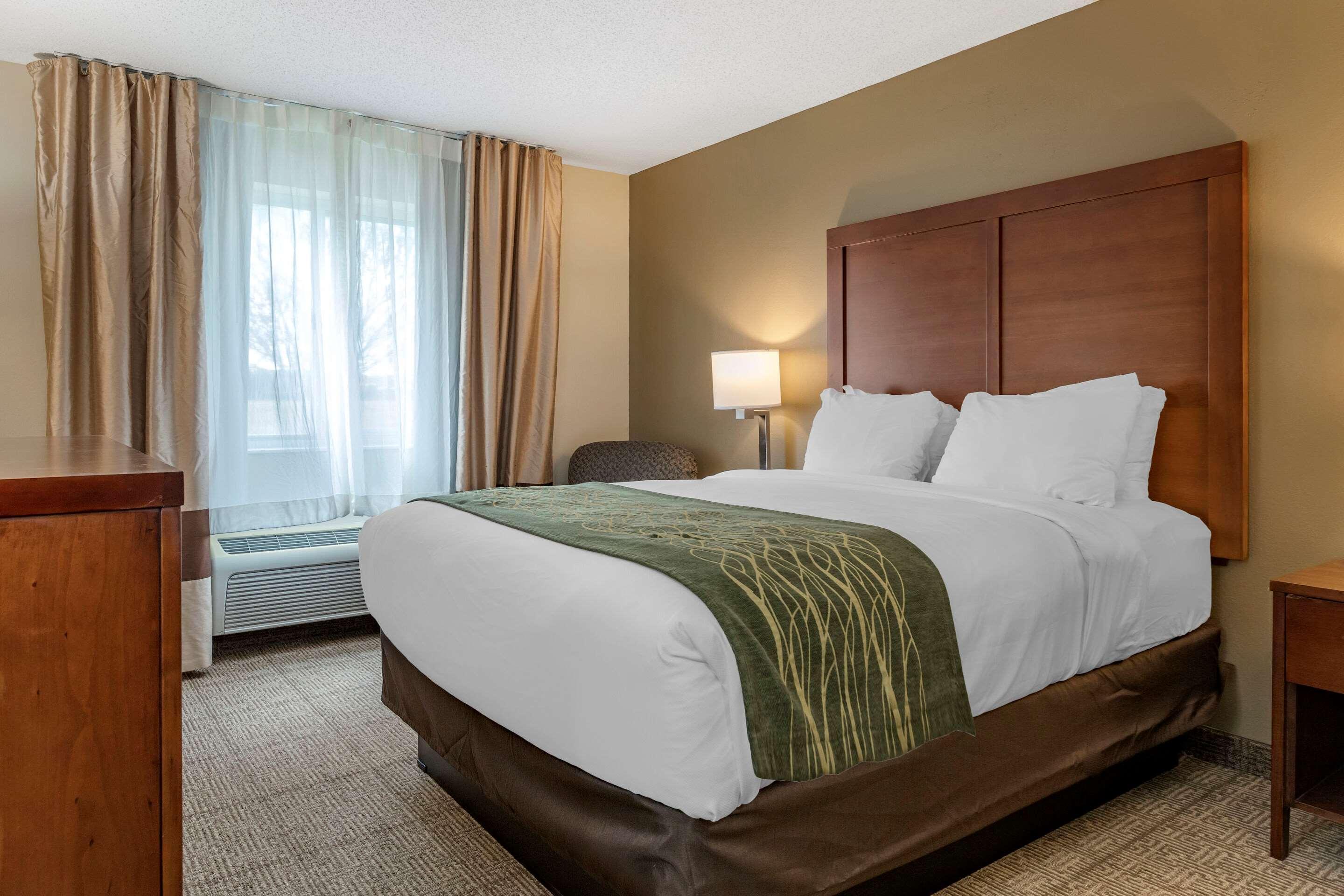 Comfort Inn & Suites Dimondale - Lansing Ngoại thất bức ảnh
