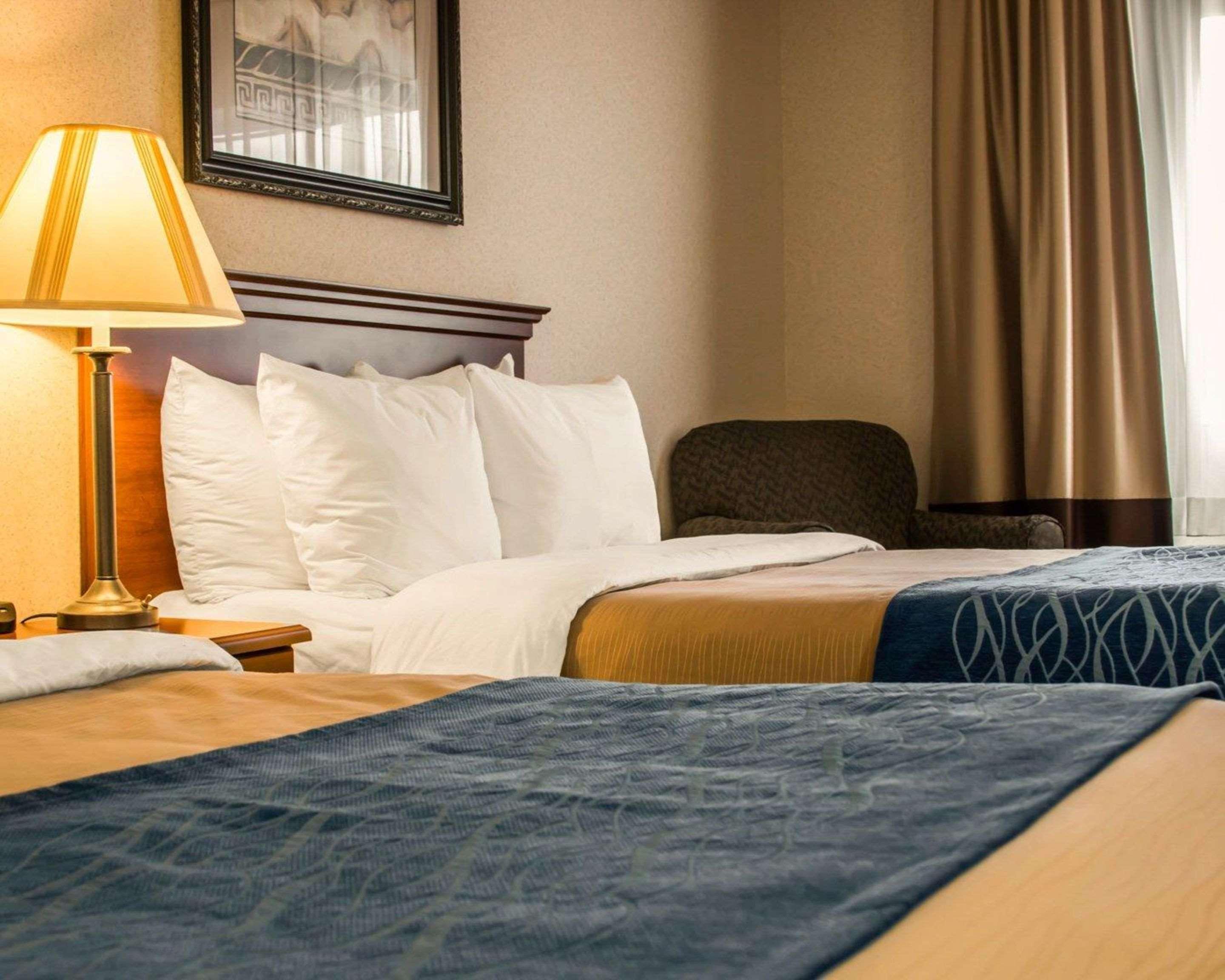 Comfort Inn & Suites Dimondale - Lansing Ngoại thất bức ảnh