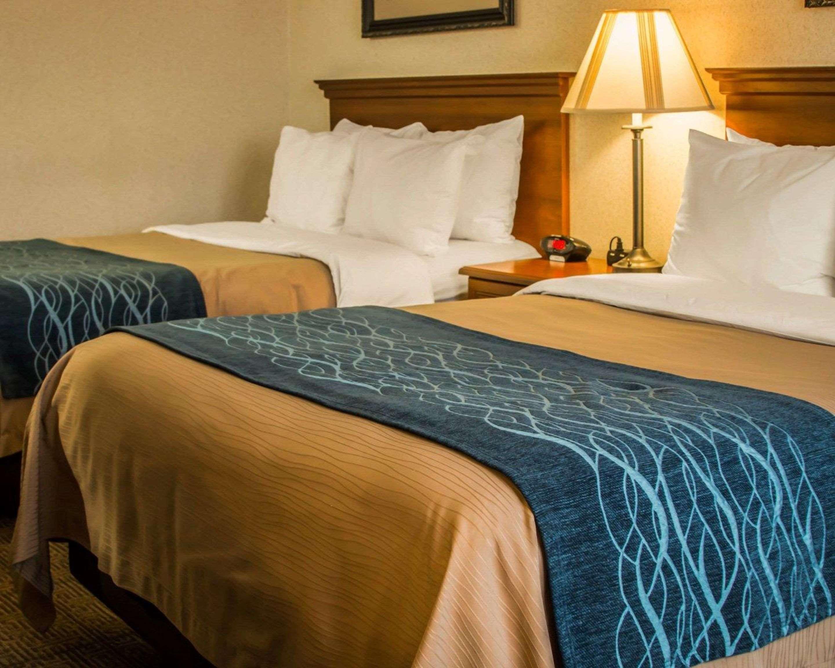 Comfort Inn & Suites Dimondale - Lansing Ngoại thất bức ảnh