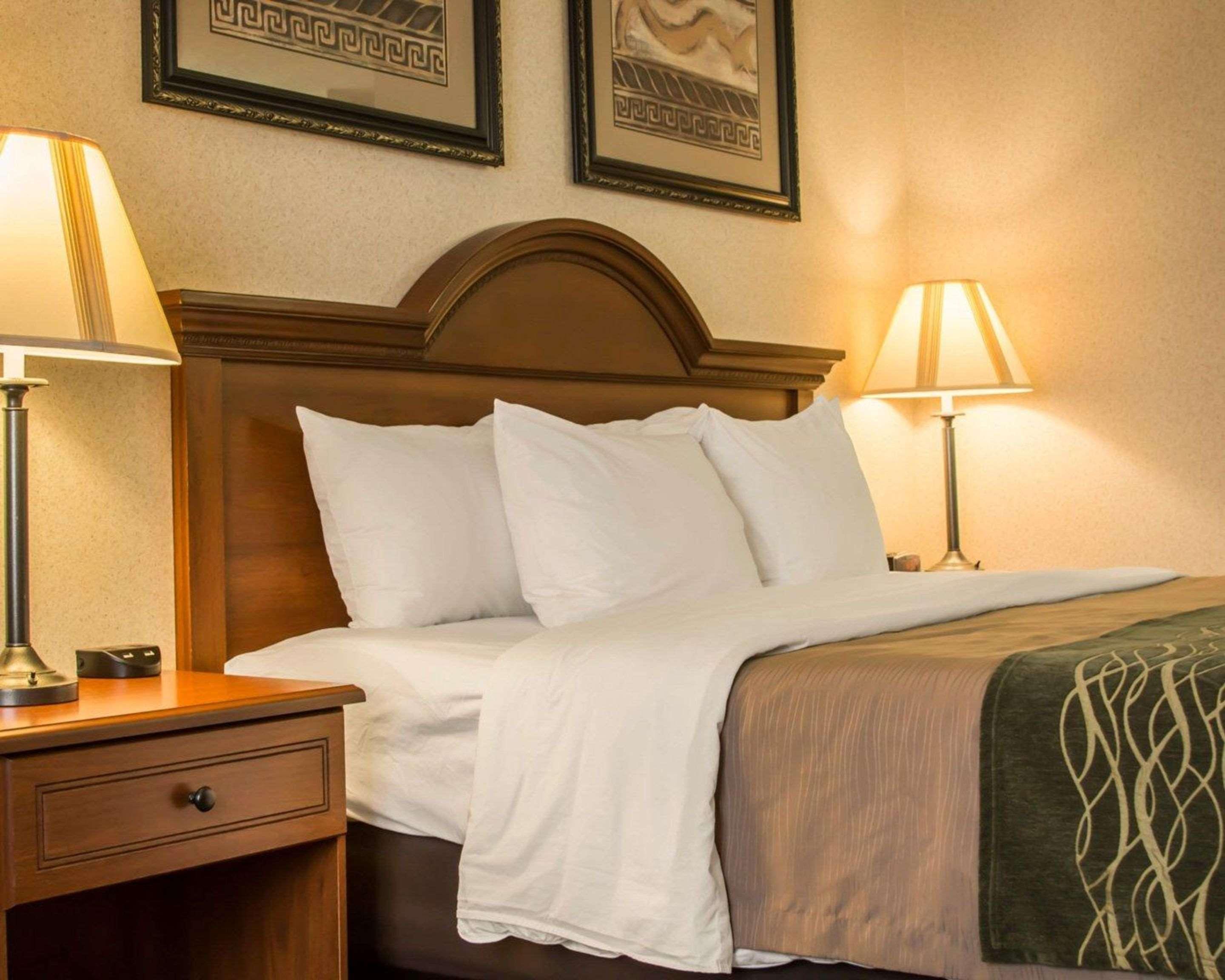 Comfort Inn & Suites Dimondale - Lansing Ngoại thất bức ảnh