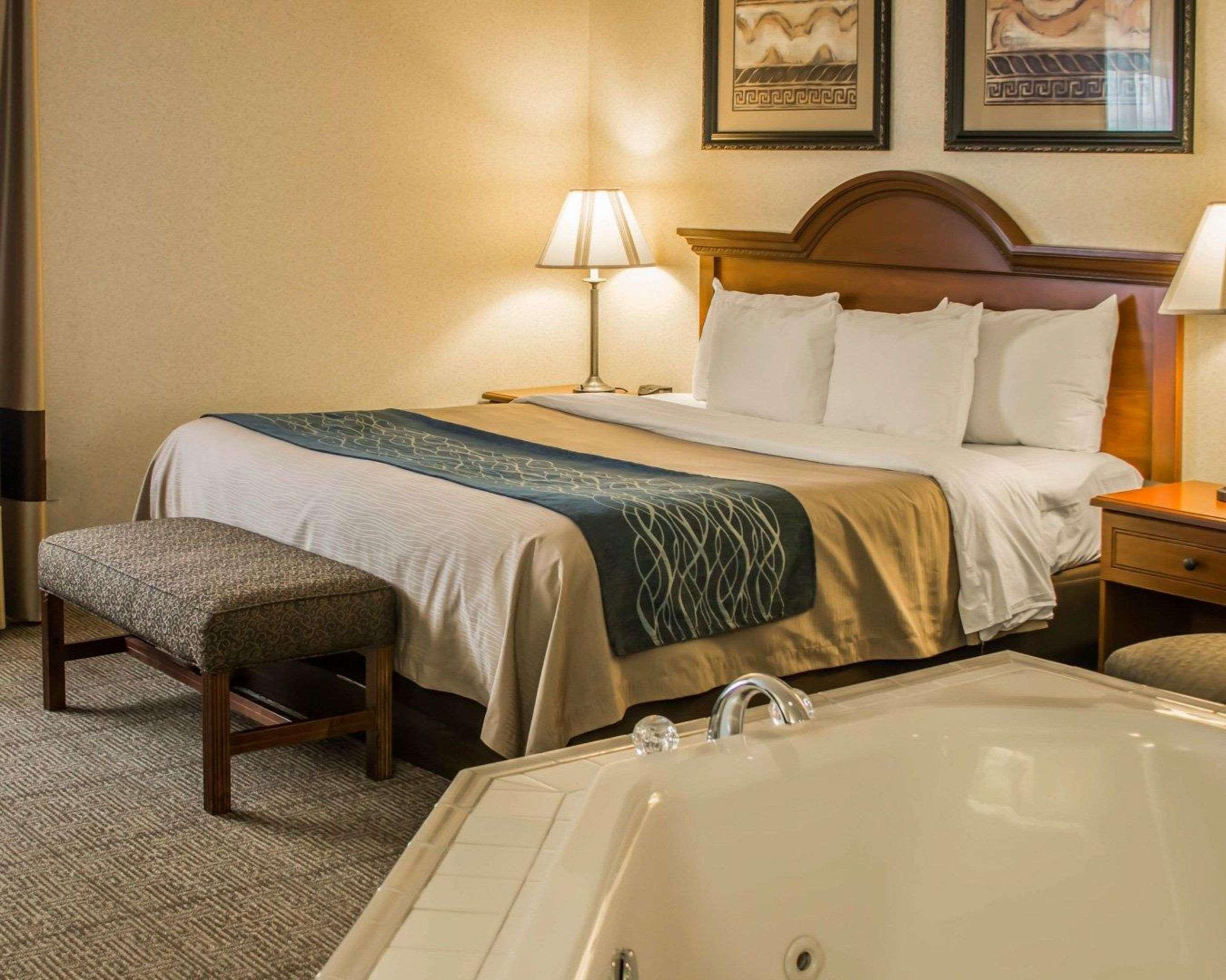 Comfort Inn & Suites Dimondale - Lansing Ngoại thất bức ảnh
