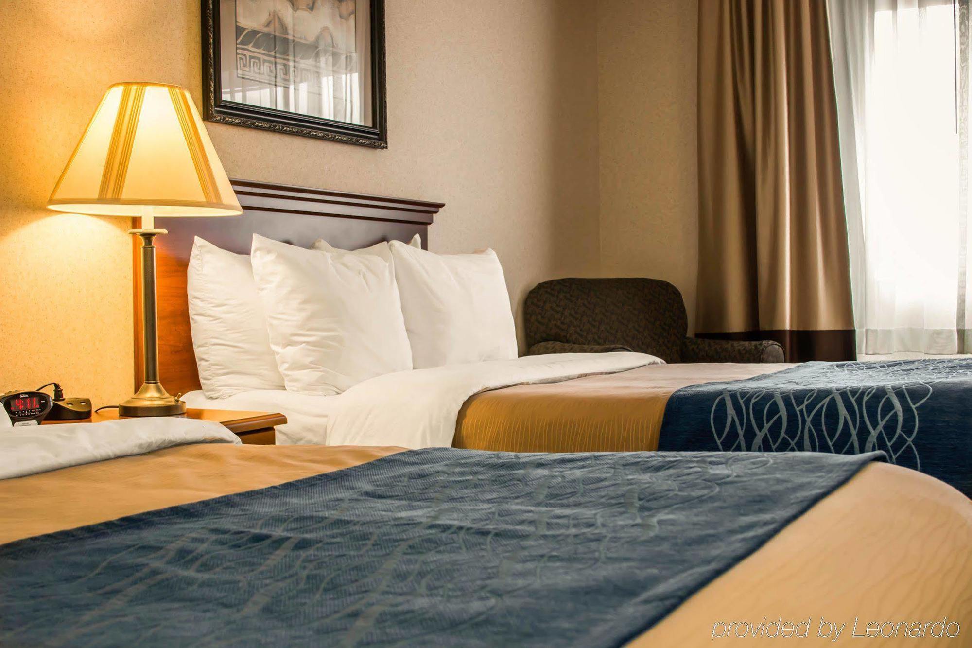 Comfort Inn & Suites Dimondale - Lansing Ngoại thất bức ảnh